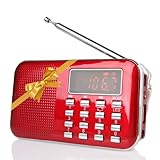 Raddy RF23 Tragbar Radio Klein AM/FM Kurzwellenempfänger MP3 Musik Player, unterstützt Mikro USB...