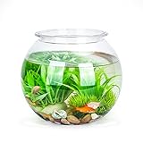 Nobleza - Kugelaquarium Bruchsicherer Kunststoff Fischschale, ideal für Blumen oder als Fischglas,...