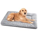Baodan Hundebett Mittelgroße Hunde Waschbar, 90x60 cm Hundekissen Flauschig mit rutschfeste...