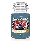 Yankee Candle Duftkerze im Glas (groß) | Mulberry & Fig Delight | Kerze mit langer Brenndauer bis...