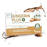 Bio Ingwer-Extrakt Kapseln | 22.000mg Ingwer Pulver | höchste Gingerol & Shogaol Werte | 2 Kapseln...