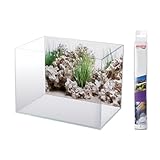 AMTRA Wonder - Aquarium Poster Hintergrund, Aquarium Dekoration, Deko Poster mit Doppeldruck, Format...