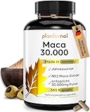 30.000mg pro Kapsel - 365 Maca Kapseln hochdosiert - 750mg Maca-Extrakt 40:1 = 30.000mg Maca-Pulver...