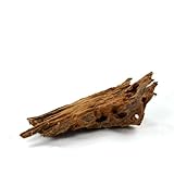 Bachflohkrebse Mangrovenwurzel für Aquarien und Terrarien 12-15 cm Wurzel Mangroven