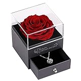 Echte Rose mit Ich Liebe Dich Halskette in 100 Sprachen Geschenke für ihre Mutter Frauen Frau...