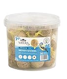 Dehner Natura Premium Meisenknödel mit Netz, ganzjähriges Wildvogelfutter proteinreich /...