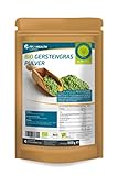 FP24 Health Gerstengras Pulver Bio 1000g - Laborgeprüft - 1kg Gerstengraspulver aus Bayern im...