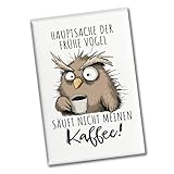 Eule Souvenir Magnet eckig mit Spruch Früher Vogel soll Nicht Kaffee Saufen Perfekt für...