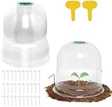 LATERN 10 Stück Gartenpflanzen-Cloche, 26cm x 20cm Wiederverwendbare...