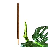 BigDean Pflanzstab Kokos 110 cm - Monstera Rankhilfe Rankstab Stab Moosstab Pflanzenstab Kokosstab...