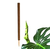 BigDean Pflanzstab Kokos 110 cm - Monstera Rankhilfe Rankstab Stab Moosstab Pflanzenstab Kokosstab...