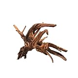 WabiFlur - Natürliches Drift Holz für Aquarium Nano Garden und Terrarien - Schafft einen Wilden...