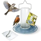 SWISSINNO Vogeltränke „Zug“ SMAR Birds Hellblau – UV resistente Vogeltränke aus robustem PC...