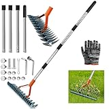 Vertikutierer Rechen mit Stiel 170cm, Metall Schneidrechen Garten, Abnehmbar, Verstellbarer...