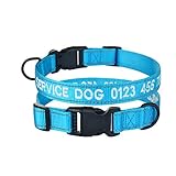 BO MEI Hundehalsband, verstellbar, Nylon, personalisierbar, bestickt, gepolstert, reflektierend,...