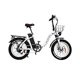 KIMDYMA 20 Zoll Faltrrad E-Bike Erwachsene City Bike 48V 10Ah Akku 60 km Reichweite Fatbike 20x4.0...