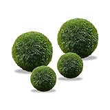 LuckyOpt 4Pcs grüne Live algenkugeln, natürliche algenkugeln, Aquarium dekoriert mit grünen...