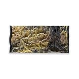 ZooPaul Aquarium Rückwand 3D 100x40cm 100x50cm 100x60cm Terrarium Hintergrund Fels Stein Wurzel...