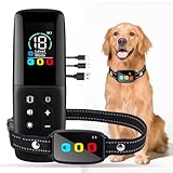 2025 Neuheit Hundetrainingsgerät – Praktische & Neue Agility-Ausrüstung mit Erziehungshalsband...