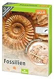 moses. Expedition Natur Das große Fossilien-Ausgrabungs-Set, Gipsblock mit 5 echten Fossilien,...
