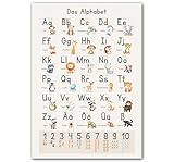 LAVEMA® Großes ABC Lernposter DIN A2 (60x42cm) Poster ohne Rahmen Grundschrift Buchstaben Zahlen...
