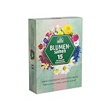 Nojus Blumen Samen Set - Blumensamen 15 Packungen - Garten Blumen Saatgut - Bunte Pflanzensamen -...