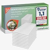 Exeta 10x Gewächshausplatten 6 mm I Polycarbonat Hohlkammerplatten für Gewächshäuser I PC...