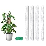 MIXC Moosstab Rankhilfe Monstera 4 Stück 61cm Pflanzstab Plastik Pflanzenstütze für...