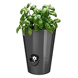 Emsa 514245 Kräutertopf für frische Kräuter, Ø 13 cm, Granit