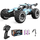 Pmgud Ferngesteuertes Auto, 2,4 GHz 1:18 Proportional 2WD 20+ km/h Hobby Offroad Monster RC Truck,...