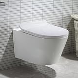 Hänge WC Spülrandlos aus Keramik - Wand WC mit Abnehmbareren Deckel - Toilette Deckel mit...
