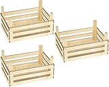 Ameisenkeks® Holzkisten Obst-Gemüsekisten für den Kaufladen - 3 Stück