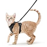 rabbitgoo Katzengeschirr mit Leine Schwarz Softgeschirr für Katze Brustgeschirr Cat Harness...