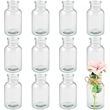 Mezzar Kleine Vasen, 12 Stück Glasvasen für Tischdeko 10CM Hoch Mini Vasen Glasfläschchen für...