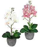 Kunstblume Schmetterling Orchidee 35cm mit Blätter und Luftwurzeln im Topf Künstliche Blume...