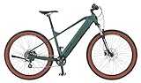 Prophete DICE 1.0 E-MTB 27,5' – Enovation Hinterradmotor 250W, 40Nm, Shimano Altus 8-Gang, 100 km...