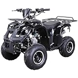 Actionbikes Motors Kinder Quad ATV S-8 Farmer 125 cc | 4-Takt 125ccm Motor bis 𝟓𝟎 km/h -...