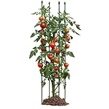 G-LEAF 1 Stück Garten Rankhilfe Tomatenkäfig Pflanzenstütze Obelisk Klettergerüst Spalier|...