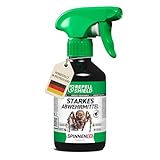 RepellShield® Pfefferminzöl Spinnenspray - 250ml - Ultrakonzentriertes Insektenspray zur...