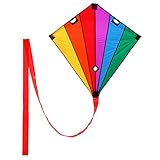 Wolkenstürmer® Racer Lenkdrachen (Rainbow) - Stablenkdrachen inkl. Leinen und Handgriffen -...