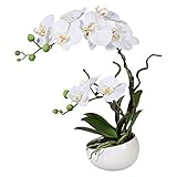 wohnfuehlidee Kunstpflanze Orchidee Phalenopsis, weiß, mit Deko-Keramik-Schale, Kunstblume Höhe 42...