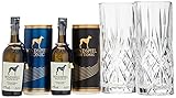 Windspiel Gin & Tonic Tasting Set - Premium Gin Tonic Verkostung für zwei Personen (mit 2x 0,05 l...