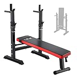 ISE Fitness Hantelbank Drückerbank Trainingsbank mit 5 Stufen Verstellbarer Ablage（91-110cm）und...