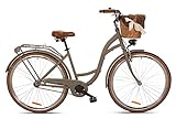 Goetze Style Vintage Retro Citybike Damenfahrrad Hollandrad, 28 Zoll Alu Räder, 1 Gang, Single...