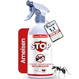 KRAFTKÖNIG PREMIUM Ameisenspray - Sofort + Effektiv Formel - 500ML Ameisen Spray - Alternative zu...