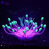 Bluecoco Lila/Grün Equinox Blumenkorallen, weiches Kieselgel, bewegt sich natürlich mit...