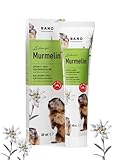 BANO Arlberger Murmelin Sport und Gelenksalbe I Original Murmeltiersalbe I MADE IN AUSTRIA I mit...