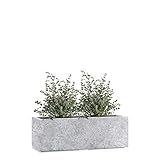 Pflanzwerk® Pflanzkübel TUB Lava Hellgrau 17x50x17cm XXL – Rechteckig – Großer Fiberglas...