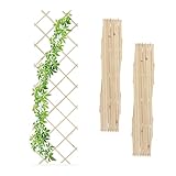 Relaxdays Rankgitter ausziehbar, 3er Set, 180x60 cm, Holz, Wandmontage, Rankhilfe Kletterpflanzen,...