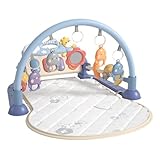 Baby-Fitnessstudio - Spielmatte Mit Spielbogen | Spieldecke Mit Spielbogen 3-In-1 Rainforest...